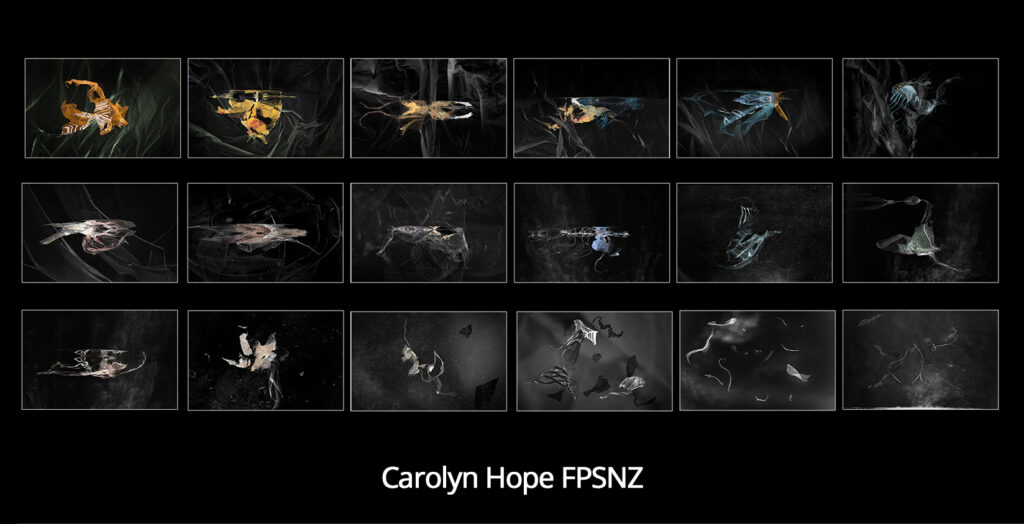Carolyn-Hope-FPSNZ