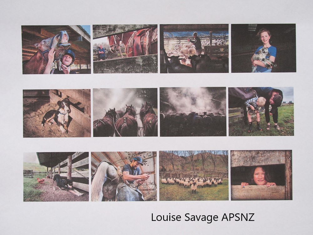 Louise Savage APSNZ