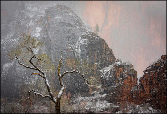 005 - Zion National Park_Winter Wonderland 005 - Zion National Park_Winter Wonderland