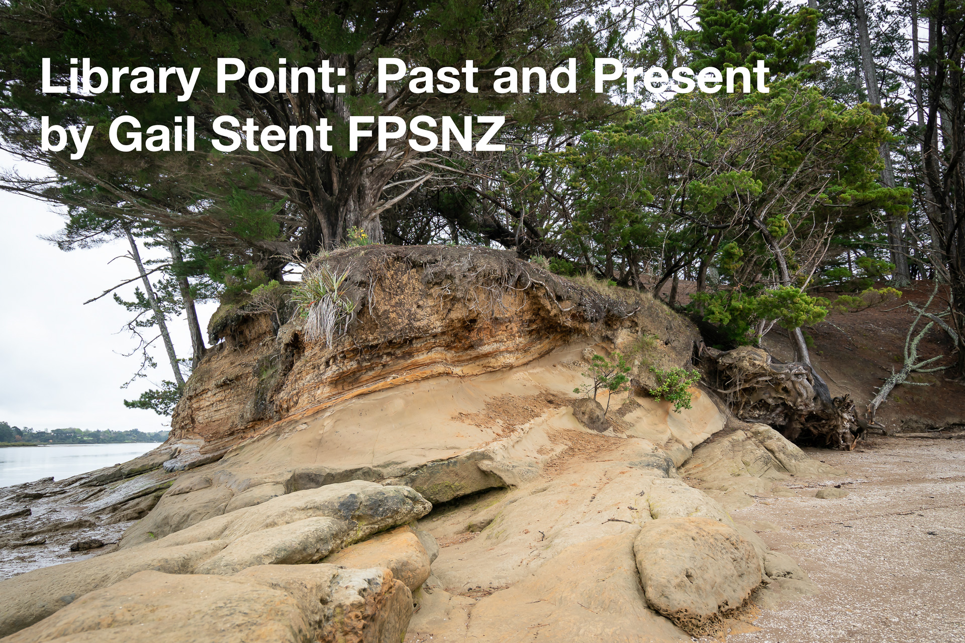 Library Point-Past and Present