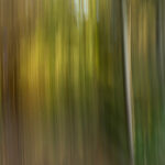 02. Abstract Motion_ICM