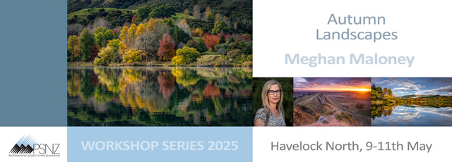 This event is now fully subscribed. Workshops are available only to PSNZ Members