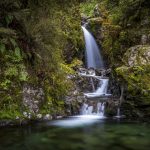 01- Avalanche Creek