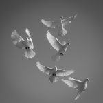 01. Dance of the Doves