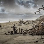 03 Rangatira Beach