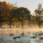 03_A Hagley Morning