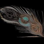 03_FeatherArt