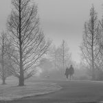 03_Misty Morning Walk_2936