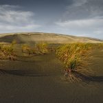 04 Dune