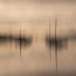 06. Careys Bay