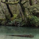06.Quiet River-1