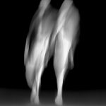 10. Walk with Me