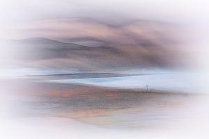 ICM Westport 300dpi
