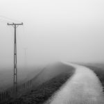 11. Into the Fog