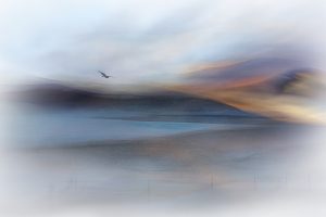 Manuka Terrace ICM DE 02 with Westport 300dpi