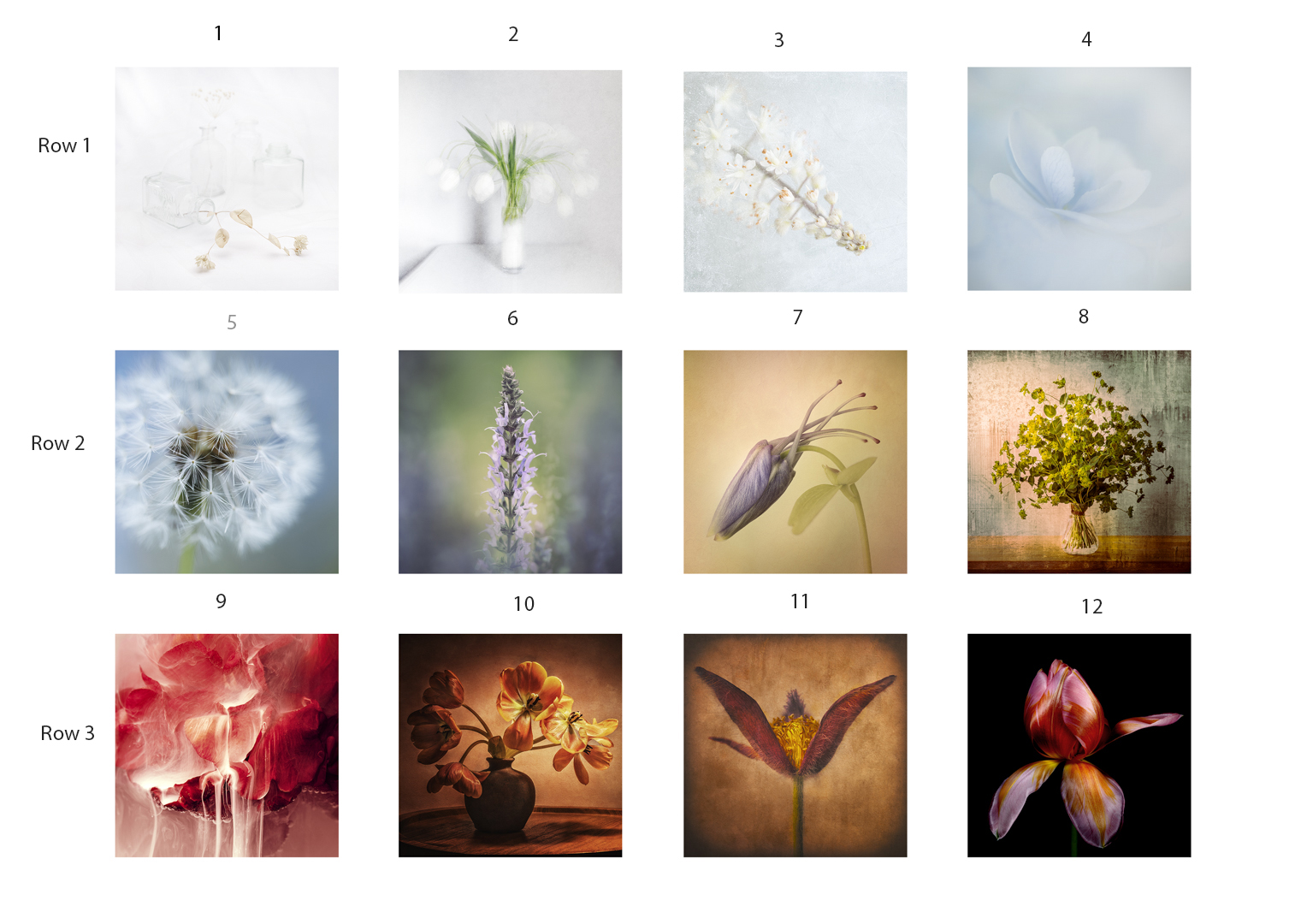 DIanne Kelsey_For the Love of FLowers DIanne Kelsey_For the Love of FLowers