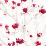 01_Petals in Silence
