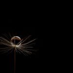 02_Tiny Dancer