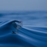 03 Breaking wave