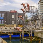 03 Man Diving in Wellington