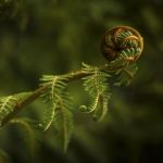 04 Unfurling