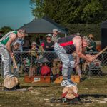 05_ Wood Choppers