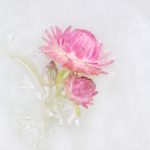 05_Ice Flowers