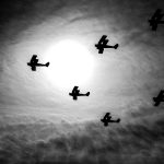 06 - Tiger Moth Eclipse