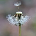 06 Whispers On The Breeze