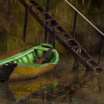 07_Amazonia