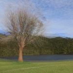 08 _Tree