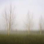 08_Foggy Morning