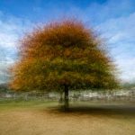 09 - Autumn