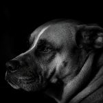 09_The Watcher