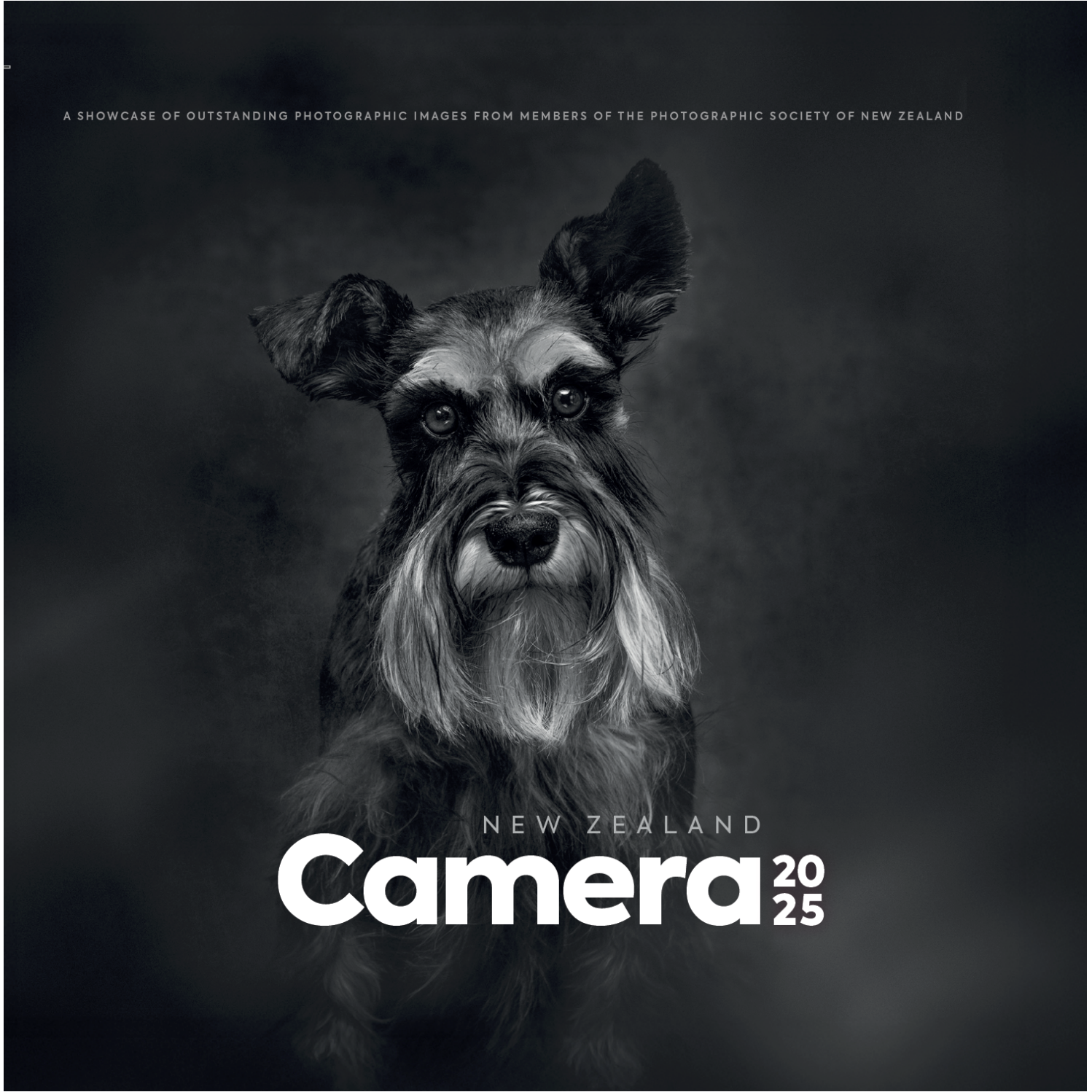 Screenshot 2025-10-30 at 2.42.34 PM